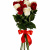 Букет из 11 красных и белых роз 80СМ Букет из 11 красных и белых роз 80СМ